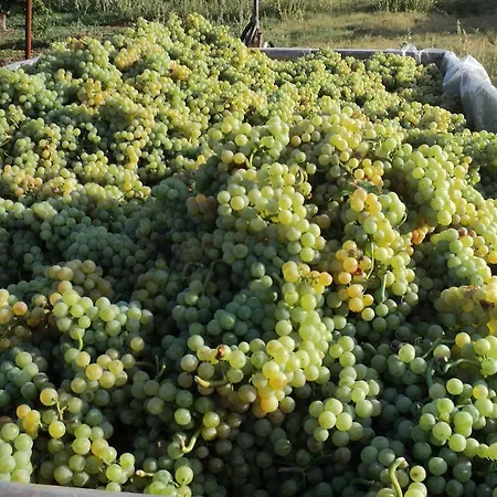 Prázdninový dům Annamaria *