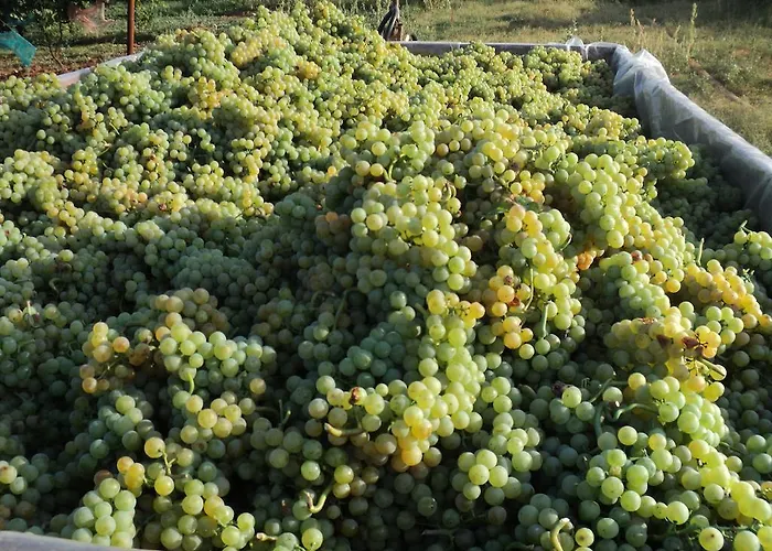 度假居 Annamaria *