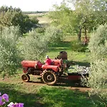 Annamaria Pula